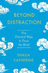 Book Cover: Beyond Distraction